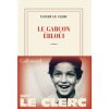 Le garçon ébloui