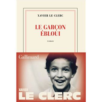 Le garçon ébloui